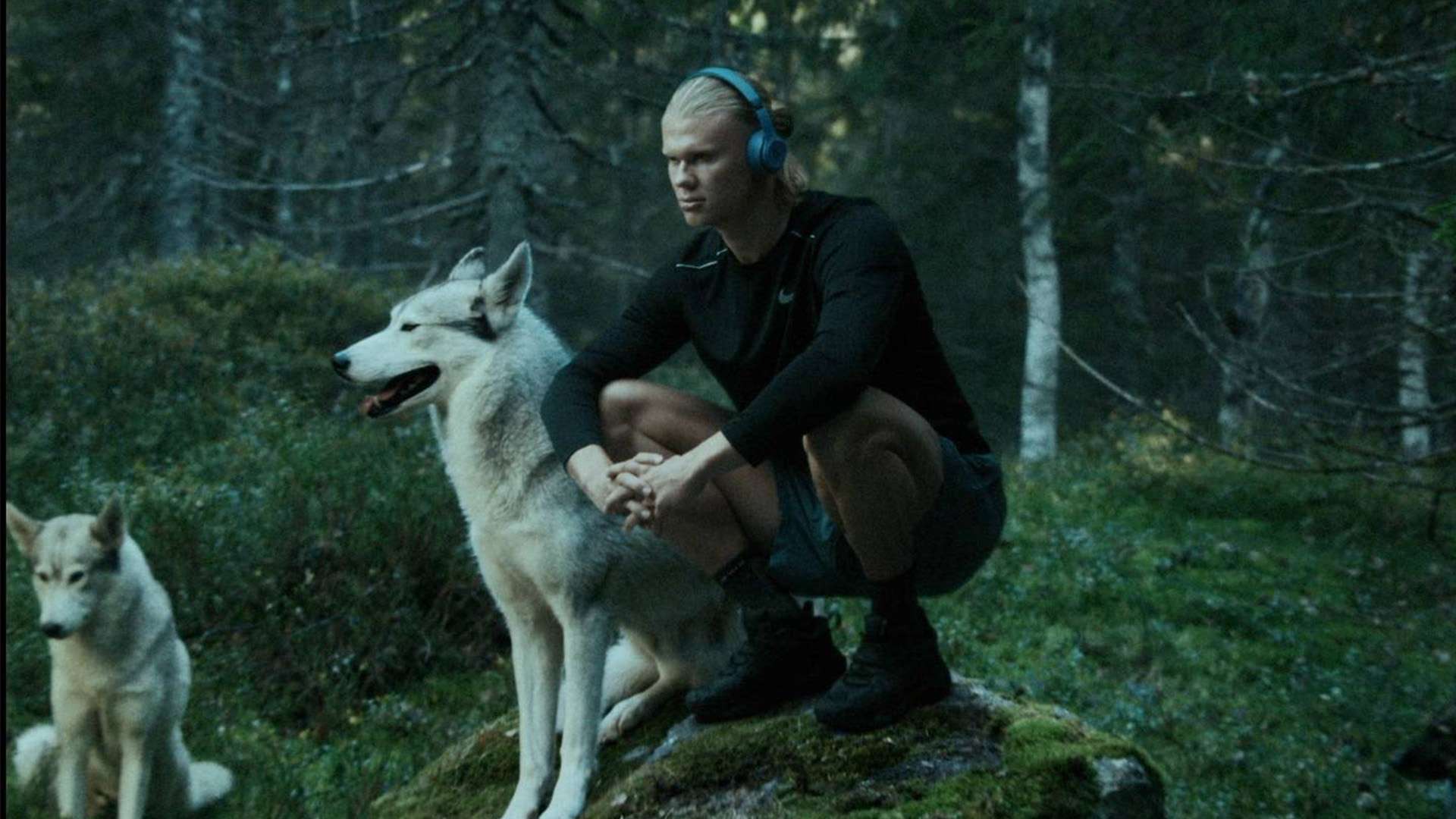 杀助红军终 杀助红军终